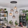 Koyoto Pendellampa, kullampa, Pendellampa Cluster Amber, Klart, Rökfärger, 5-ljuskällor