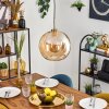 Koyoto Pendellampa, kullampa, Pendelbelysning Guld, Svart, 1-ljuskällor