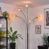 Nikkala Golvlampa Krom, Svart, 5-ljuskällor