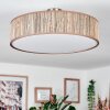 Foggia Taklampa Nickel matt, 3-ljuskällor
