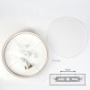 Foggia Taklampa Nickel matt, 3-ljuskällor