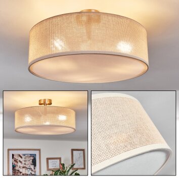 Foggia Taklampa Nickel matt, 3-ljuskällor