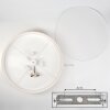 Foggia Taklampa Nickel matt, 3-ljuskällor