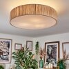 Foggia Taklampa Nickel matt, 3-ljuskällor