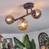 Chehalis Taklampa, kullampa Amber, Rökfärger, 3-ljuskällor