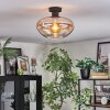 Mertola Taklampa Amber, Klart, 1-ljuskällor