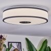 Elran Taklampa LED Vit, 1-ljuskällor