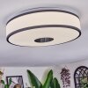 Elran Taklampa LED Vit, 1-ljuskällor