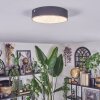 Elmar Taklampa LED Svart, 1-ljuskällor