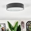Elmar Taklampa LED Svart, 1-ljuskällor