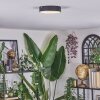 Elmar Taklampa LED Svart, 1-ljuskällor