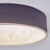 Elmar Taklampa LED Svart, 1-ljuskällor