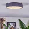 Elmar Taklampa LED Svart, 1-ljuskällor