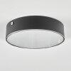 Elmar Taklampa LED Svart, 1-ljuskällor