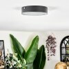 Elmar Taklampa LED Svart, 1-ljuskällor