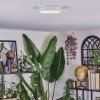Elmar Taklampa LED Vit, 1-ljuskällor