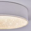 Elmar Taklampa LED Vit, 1-ljuskällor