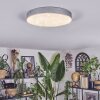 Elmar Taklampa LED Silver, 1-ljuskällor