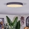 Elmar Taklampa LED Svart, 1-ljuskällor