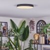 Elmar Taklampa LED Svart, 1-ljuskällor