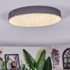 Elmar Taklampa LED Svart, 1-ljuskällor
