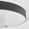 Elmar Taklampa LED Svart, 1-ljuskällor