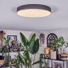 Elmar Taklampa LED Svart, 1-ljuskällor