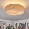 Foggia Taklampa Nickel matt, 3-ljuskällor