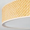Foggia Taklampa Nickel matt, 3-ljuskällor