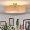 Foggia Taklampa Nickel matt, 3-ljuskällor