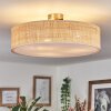 Foggia Taklampa Nickel matt, 3-ljuskällor