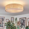 Foggia Taklampa Nickel matt, 3-ljuskällor