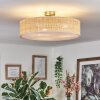 Foggia Taklampa Nickel matt, 3-ljuskällor