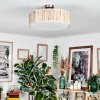 Foggia Taklampa Nickel matt, 3-ljuskällor