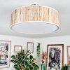 Foggia Taklampa Nickel matt, 3-ljuskällor