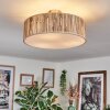 Foggia Taklampa Nickel matt, 3-ljuskällor