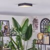 Esmar Taklampa LED Svart, 1-ljuskällor