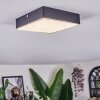 Esmar Taklampa LED Svart, 1-ljuskällor
