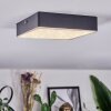 Esmar Taklampa LED Svart, 1-ljuskällor