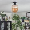 Apedo Taklampa Amber, 1-ljuskällor