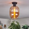 Apedo Taklampa Amber, 1-ljuskällor