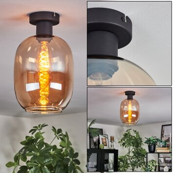 Apedo Taklampa Amber, 1-ljuskällor