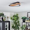 Pompu Taklampa LED Naturfärger, Svart, 1-ljuskällor