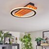 Pompu Taklampa LED Naturfärger, Svart, 1-ljuskällor