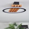 Pompu Taklampa LED Naturfärger, Svart, 1-ljuskällor
