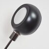 Nikkala Golvlampa Krom, Svart, 5-ljuskällor
