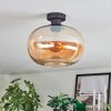 Apedo Taklampa Amber, 1-ljuskällor