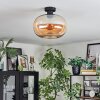 Apedo Taklampa Amber, 1-ljuskällor