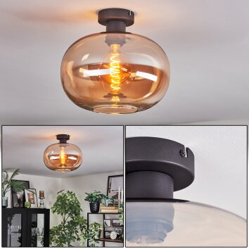 Apedo Taklampa Amber, 1-ljuskällor Apedo Taklampa Amber, 1-ljuskällor