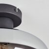 Mertola Taklampa Klart, Rökfärger, 1-ljuskällor